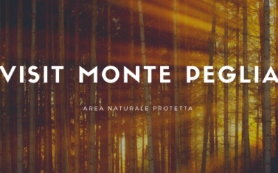 Estate al Parco Vulcanologico” – domenica 28 giugno 2020