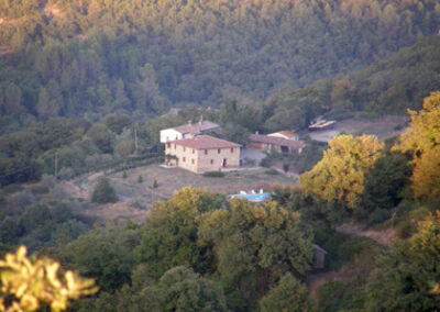 Casa Spizzica Cacio