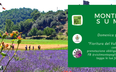 Fioritura del vulcano al tramonto – domenica 5 luglio 2020 – ore 17:30