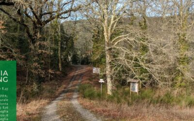 Discovering the natural area of ​​Elmo di Melonta – Sunday 4th October, 8:45 am
